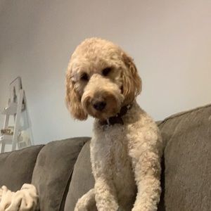 Meet your Posher, Stacy